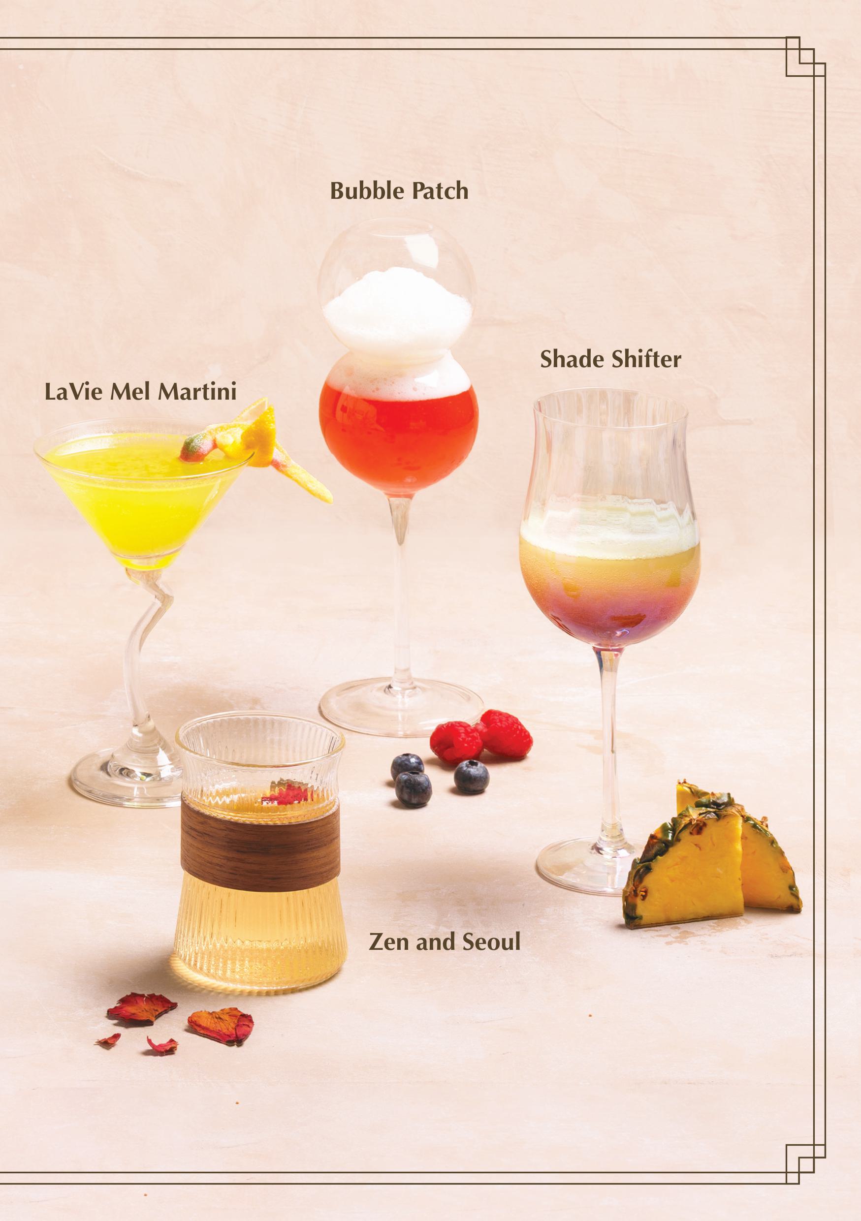 chameleon menu image
